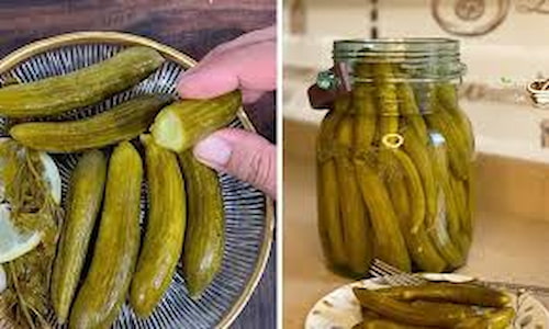 تصویر 3 از قیمت خرید خیارشور شور کامروز + با فروش عمده